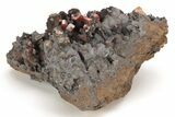Small, Red Vanadinite Crystals on Manganese Oxide - Morocco #212004-1